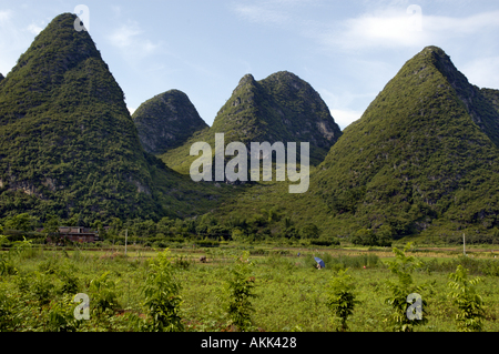 Land, China - Kalksteinkarstgipfel im Kreis Yangshuo, Provinz Guangxi. Stockfoto