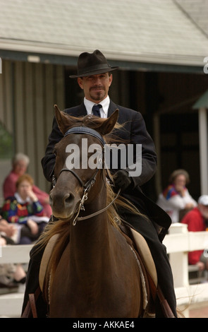 Pferd und Reiter geben Anzeigen im Kentucky Horse Center für Touristen zu sehen, USA Stockfoto