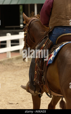 Pferd und Reiter geben Anzeigen im Kentucky Horse Center für Touristen zu sehen, USA Stockfoto