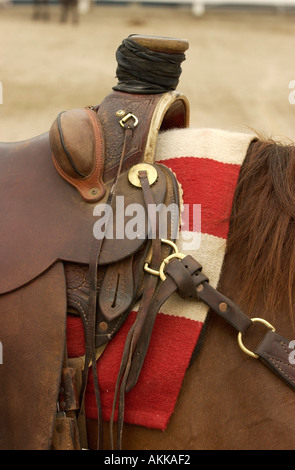 Pferd und Reiter geben Anzeigen im Kentucky Horse Center für Touristen zu sehen, USA Stockfoto