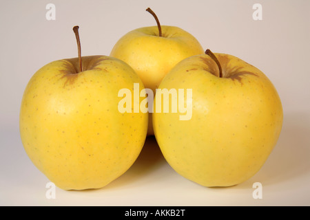 Äpfel, Golden Delicious Stockfoto