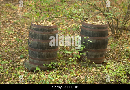 Alten Moonshine Whisky Stihl Sackler Mabry Mill auf den Blue Ridge Parkway VA USA Stockfoto