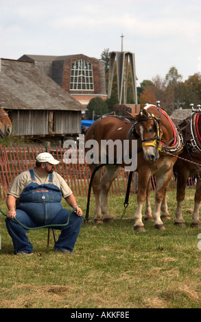 Pferd-Teams am Pferd ziehen Wettbewerb auf dem Ferrum-festival Stockfoto