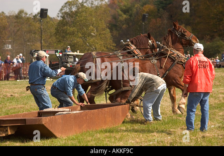 Pferd-Teams am Pferd ziehen Wettbewerb auf dem Ferrum-festival Stockfoto