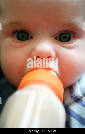 Baby Milch aus der Flasche trinken Stockfoto