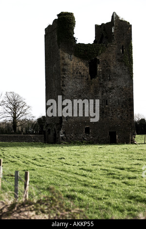 Burg in Ackerland außereuropäischen Cahir Castle Gelände Cahir County Tipperary, Irland Stockfoto