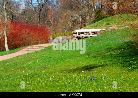 Weiße Gartenbank mit grünem Rasen, Scilla Siberica und roter Hartriegel Stockfoto