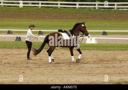 Frau Pferd an der Longe vor dem Wettkampf im Kentucky Horse Center USA Aufwärmen Stockfoto