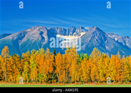 Hudson Bay Mountain Herbstfarben Stockfoto