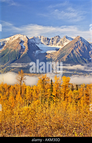 Hudson Bay Mountain Herbstfarben Stockfoto