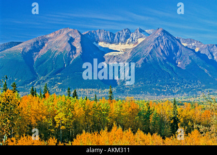 Hudson Bay Mountain Herbstfarben Stockfoto