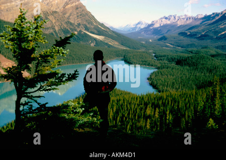 Lake Peyto mit Mann im Sonnenschein genießen Sie Blick Banff Nationalpark NP Rocky Mountains Alberta Kanada Nordamerika Stockfoto