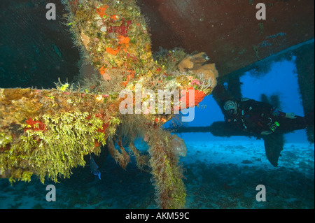 Taucher in der Nähe von Propellern C53 Wrack Cozumel Mexiko Stockfoto