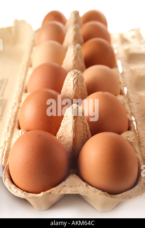 OFFENEN EIERKARTON MIT 12 BRAUNEN EIERN GEFÜLLT Stockfoto