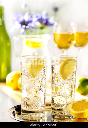 GLAS-BECHER KLAR EISGEKÜHLTEN DRINK MIT ZITRONENSCHEIBE AUF SILBERNEN TABLETT-TISCH MIT ZWEI GLÄSERN WEIN GRÜNE FLASCHE WEISSWEIN Stockfoto