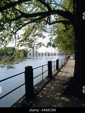 Blick auf Fluss-Seite in Wroclaw / Breslau, Polen Stockfoto