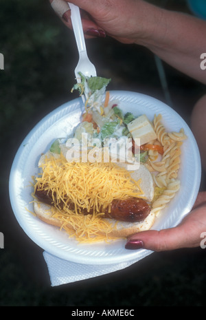 Essen auf Pappteller Stockfoto