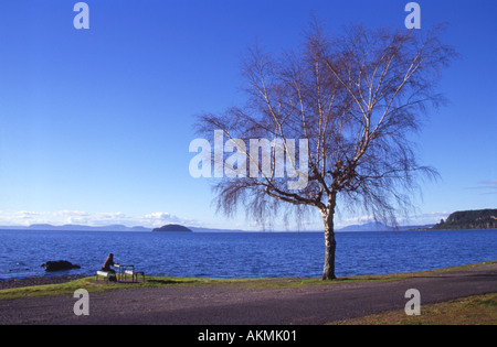 Frau Picknicken am Ufer des Lake Taupo Nordinsel Neuseeland Stockfoto