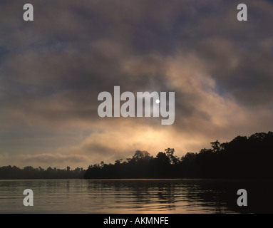 Morgensonne an der Kinabatangan Fluss Borneo Malaysia Stockfoto