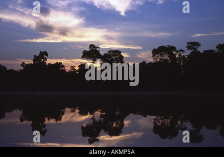 Morgennebel über den Kinabatangan Fluss Borneo Malaysia Stockfoto