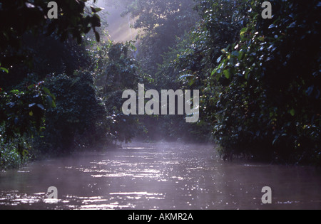 Misty Nebenfluss des Kinabatangan Fluss Borneo Malaysia Stockfoto