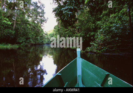 Kreuzfahrt mit dem Boot auf den Menggul River Borneo Malaysia Stockfoto