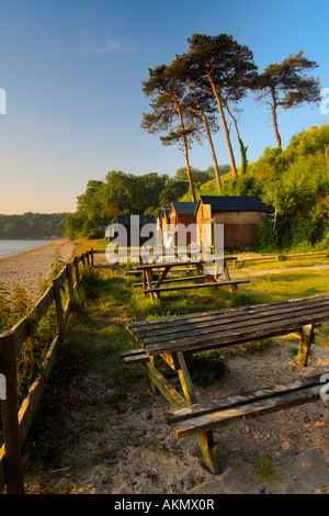 Bänken und Strandhütten neben dem Strand Studland Bay, Dorset Stockfoto