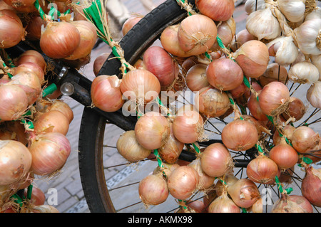 Zwiebeln und Knoblauch, aufgereiht auf einem Fahrrad zum Verkauf an das jährliche Food Festival in Abergavenny Monmouthshire Wales UK GB Stockfoto