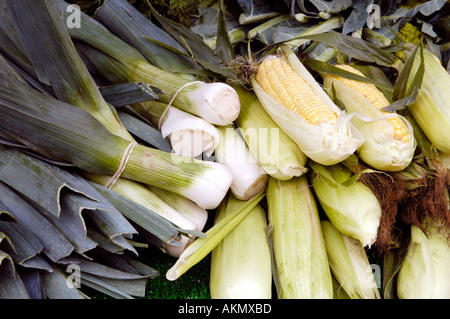 Lauch und Maiskolben zum Verkauf an das jährliche Food Festival in Abergavenny Monmouthshire Wales UK GB Stockfoto