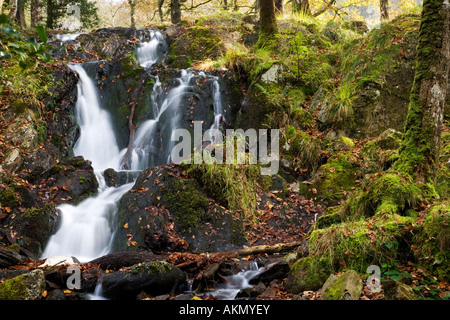 Tom Gill Wasserfall im Lake District, Cumbria, aufgenommen im Herbst auf dem Weg zum Tarn Hows Stockfoto