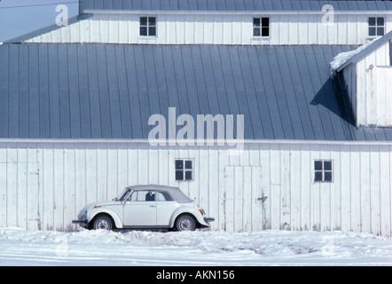 Einen weißen VW in die Snow Whites Scheune Stockfoto