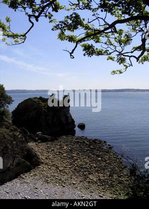 Klippen anzeigen Torquay Devon England Stockfoto