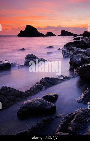 Sonnenuntergang über den Felsvorsprüngen und Stapel von Mupe Felsen auf der Jurassic Coast of Dorset Stockfoto