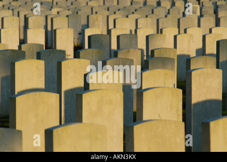 Grabsteine auf dem Delville Wood Cemetery, Somme, Frankreich Stockfoto