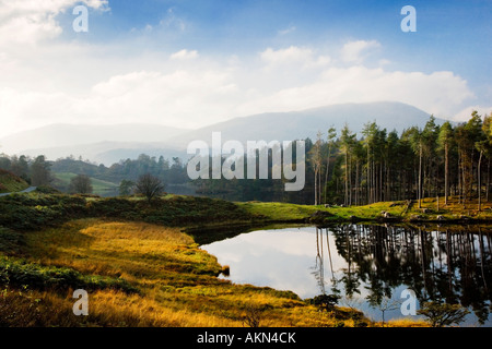 Tarn Hows, Nationalpark Lake District, Cumbria UK im Herbst Stockfoto