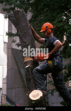 Baumpfleger Stockfoto