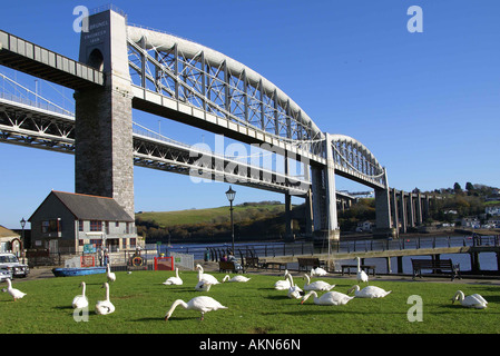 Brunel Royal Albert Bridge Saltash Cornwall Stockfoto