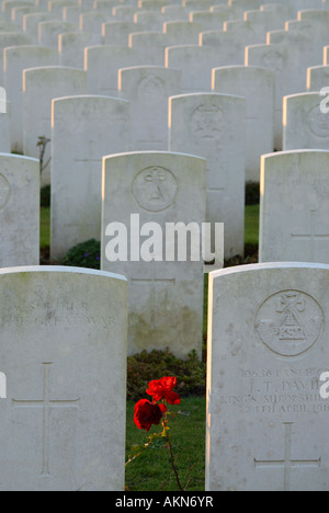 Grabsteine auf dem Delville Wood Cemetery, Somme, Frankreich Stockfoto