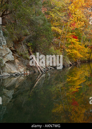 Farben des Herbstes entlang der Chesapeake ein Ohio Canal Great Falls National Park Maryland USA Stockfoto