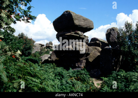 Felsformationen, die Erosion durch Wind und Regen bei Brimham Rocks in der Nähe von Ripon North Yorkshire England Stockfoto