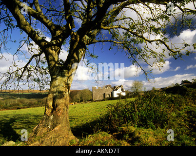 Oxwich Burg Gower Südwales Stockfoto