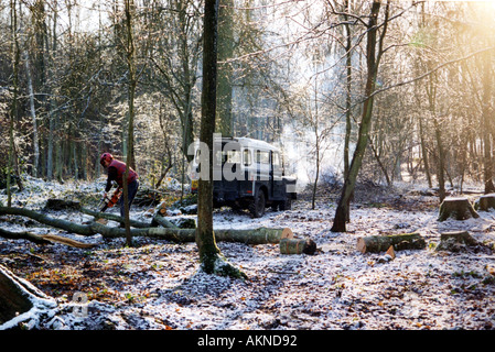 Mann, Sägen Stockfoto