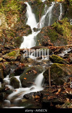 Tom Gill Wasserfall im Lake District, Cumbria UK genommen im Herbst auf dem Weg zum Tarn Hows Stockfoto