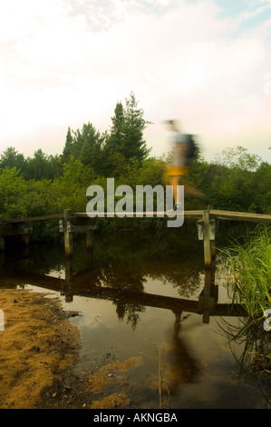 Wanderer auf Trail Brücke mit Spiegelbild im Teich Stockton Insel Stockfoto