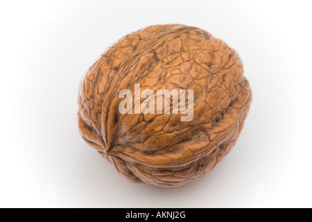 Eine geschälten Nuss der gemeinsamen Walnuss (Juglans Regia). Frankreich. Noix Écalée de Noyer Commun (Juglans Regia). Frankreich. Stockfoto