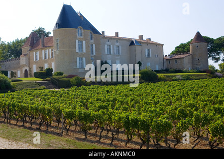 Chateau d Yquem Sauternes Frankreich Stockfoto