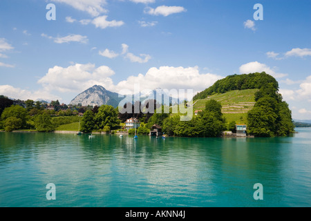Blick über den Thunersee nach Spiez Berner Oberland Highlands Kanton Bern Schweiz Stockfoto