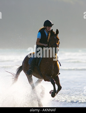Junge Frau reitet ein Cleveland Bay Kreuz Thoroughbred Pferd auf breiten Haven Beach Wales Großbritannien Stockfoto
