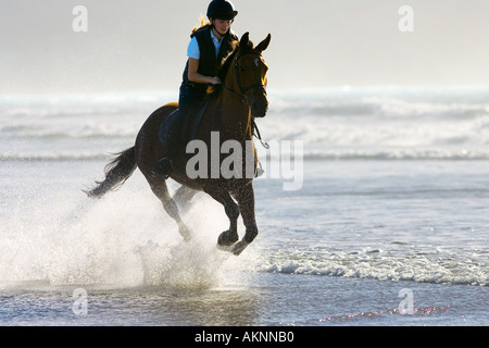 Junge Frau fährt ein Cleveland Bay Kreuz Thoroughtbred Pferd auf breiten Haven Beach Wales Stockfoto