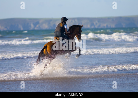 Junge Frau reitet auf einem Pferd Bucht auf breiten Haven Beach Pembrokeshire Wales Großbritannien Stockfoto